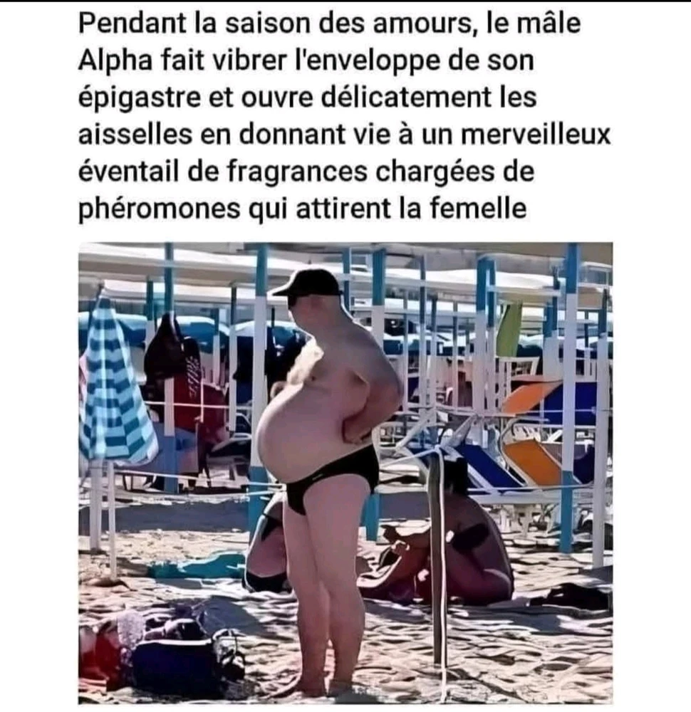 GIF ajouté par Dominique