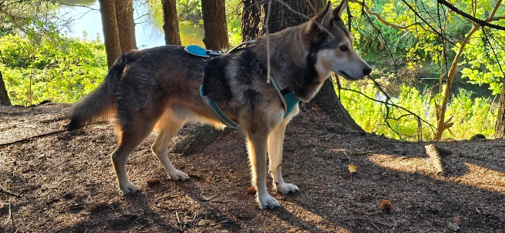 Bild hochgeladen von Anne (aka KuschelBrrrr- zeig mal etwas Wärme!!)