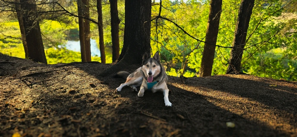 Bild hochgeladen von Anne (aka KuschelBrrrr- zeig mal etwas Wärme!!)