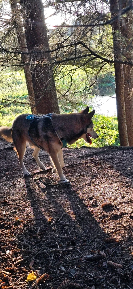 Bild hochgeladen von Anne (aka KuschelBrrrr- zeig mal etwas Wärme!!)