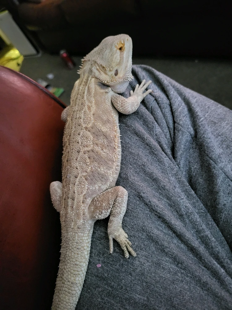 Image uploaded by Noah