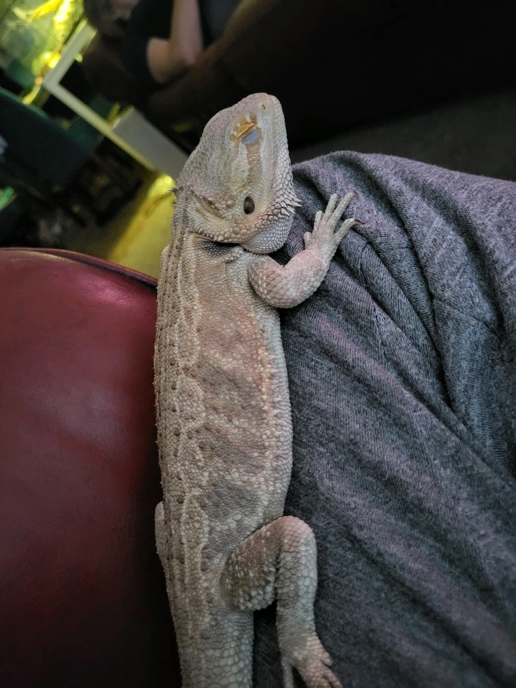 Image uploaded by Noah