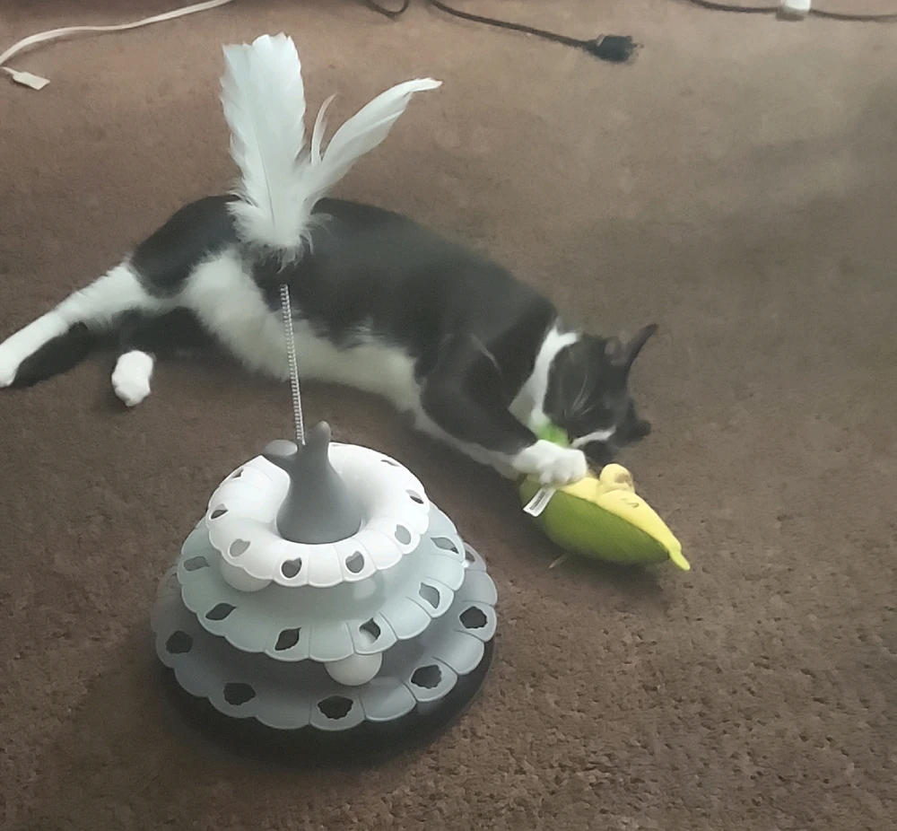 GIF diunggah dening Erika