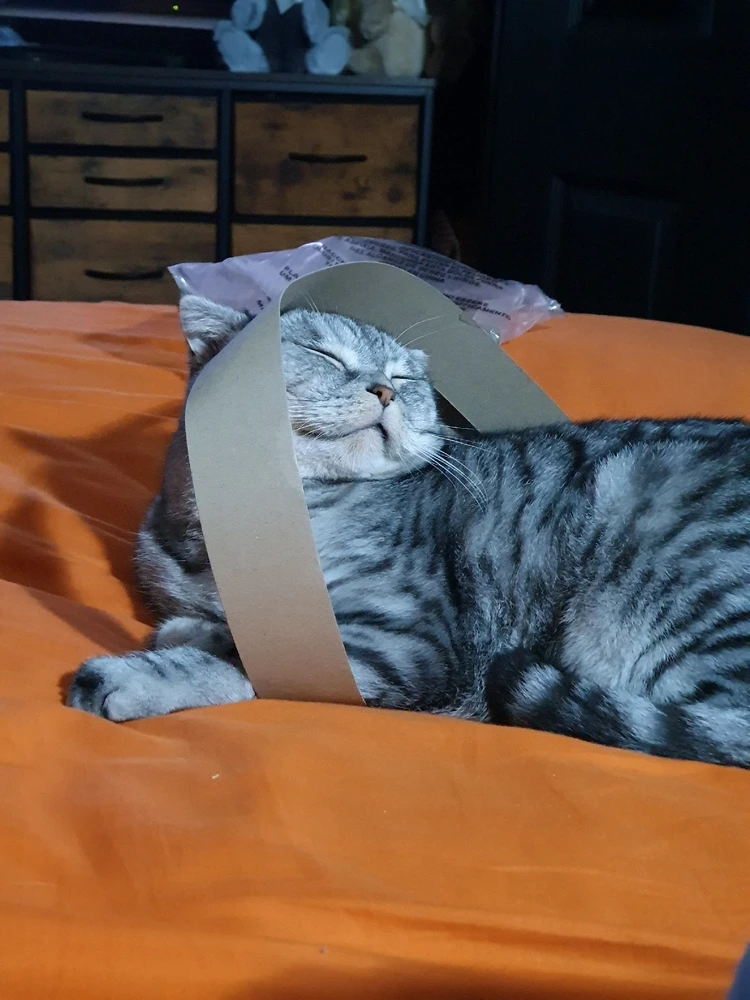 Image uploaded by Katie