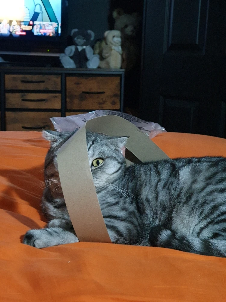 Image uploaded by Katie