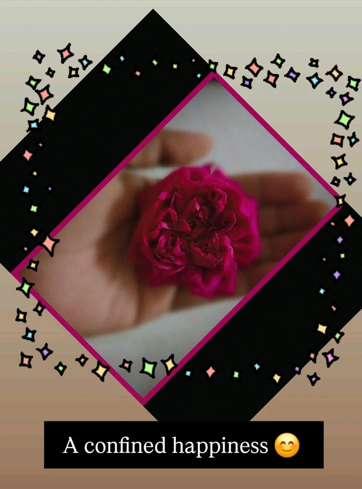 GIF uploaded by Clare