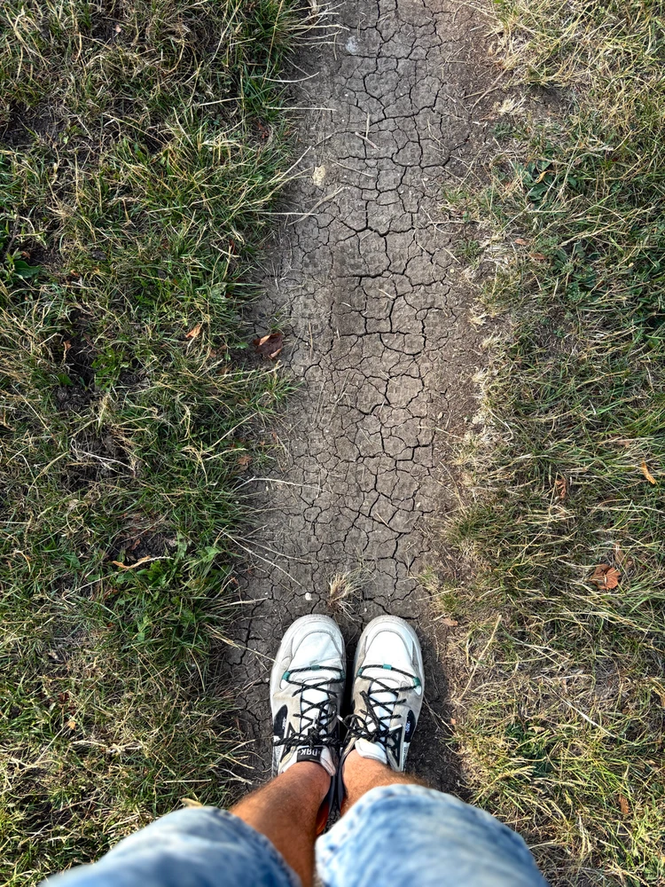 Image uploaded by Bence