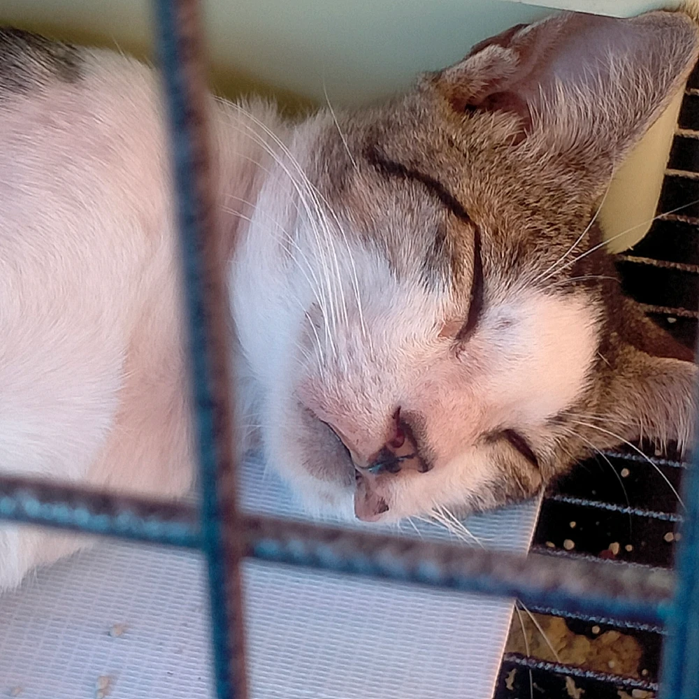 Image uploaded by Juuunneeeyy