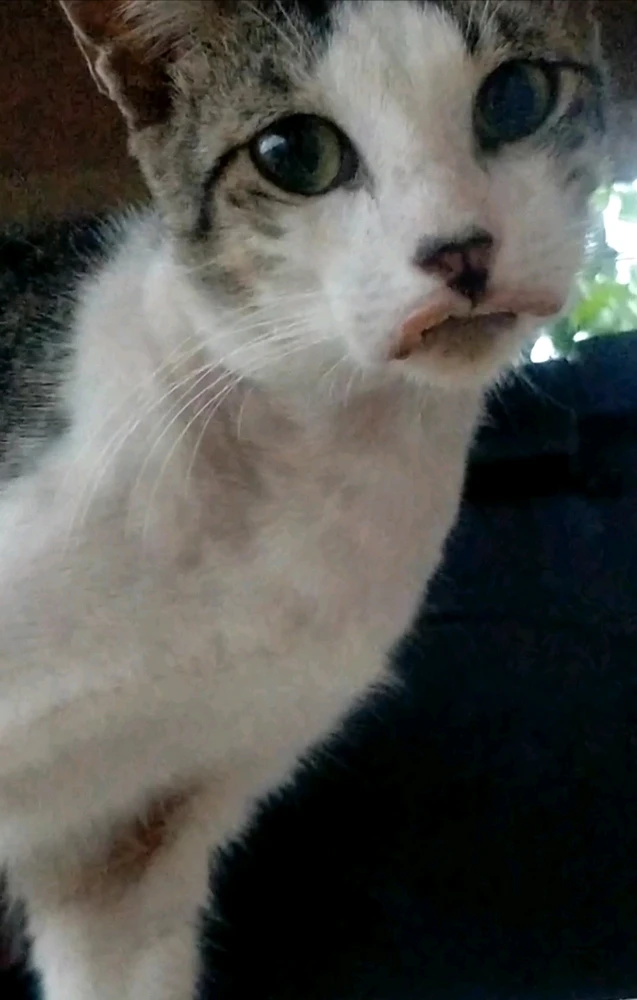 Image uploaded by Juuunneeeyy