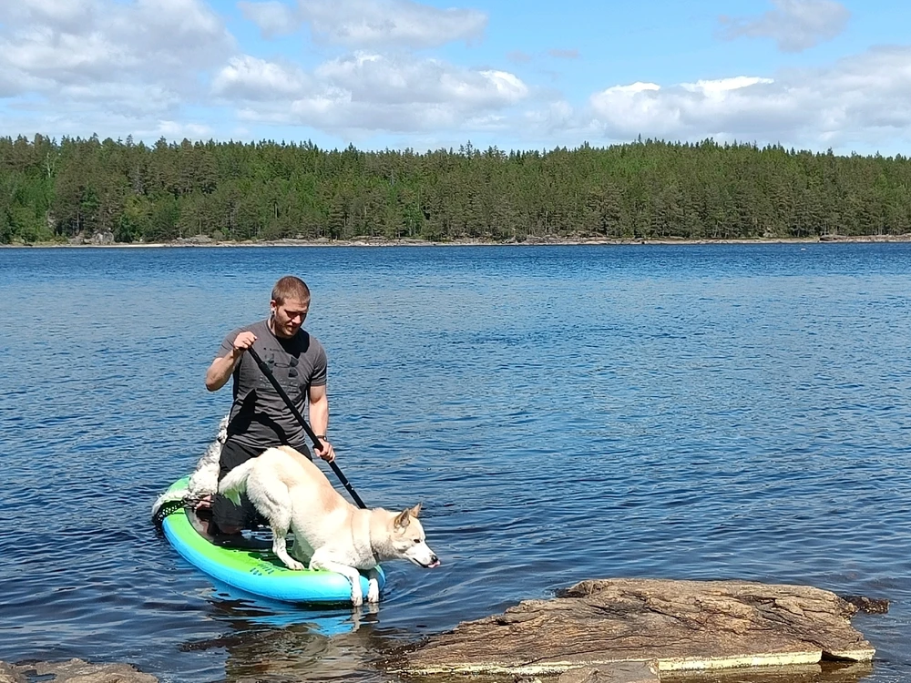 GIF uploaded by Christer