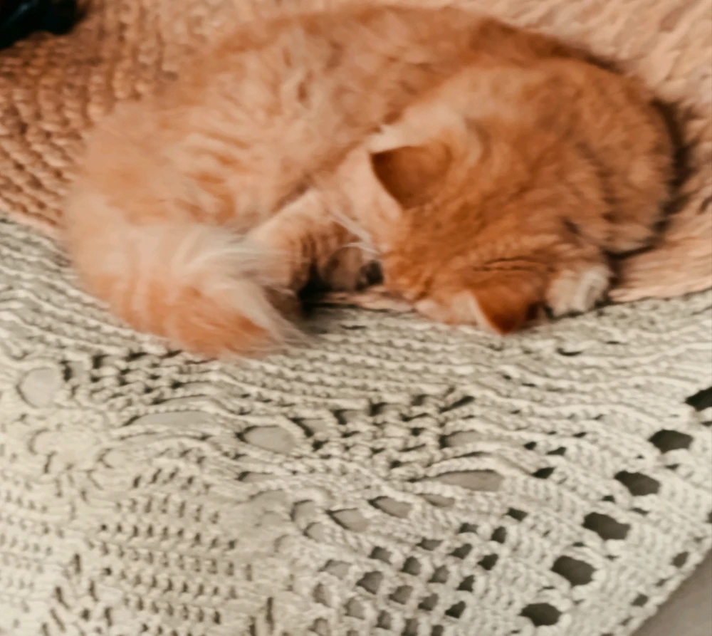 GIF uploaded by Nguyên{ Mây }