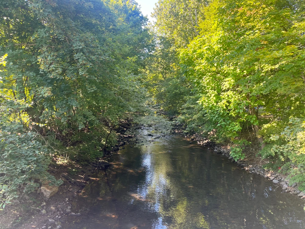 Image uploaded by Patrick