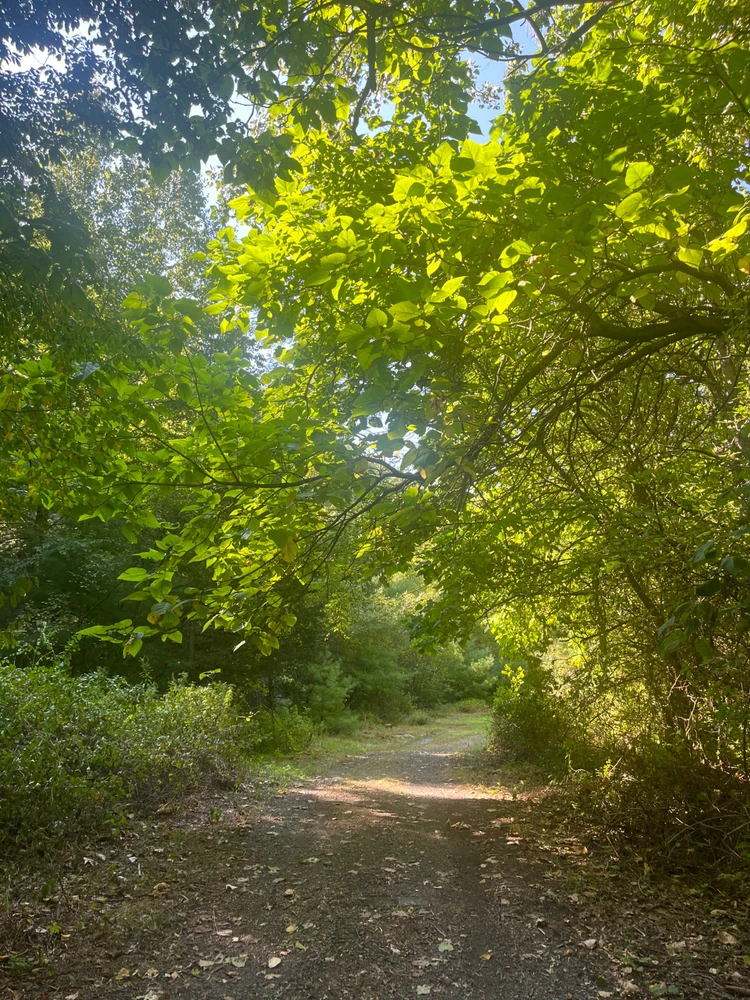 Image uploaded by Patrick