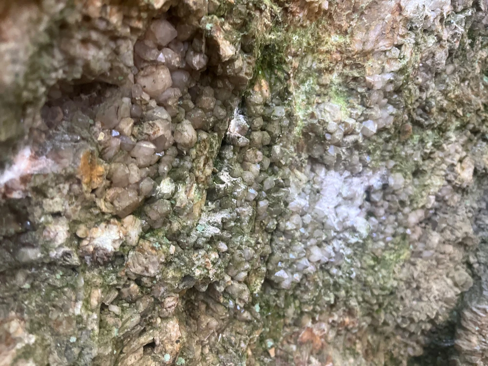 Image uploaded by Patrick