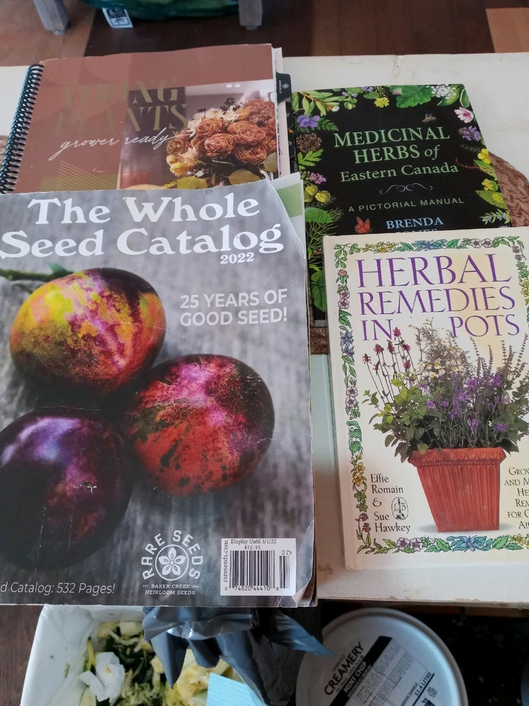 GIF uploaded by Brooke