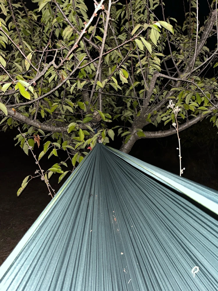 GIF uploaded by Kateřina