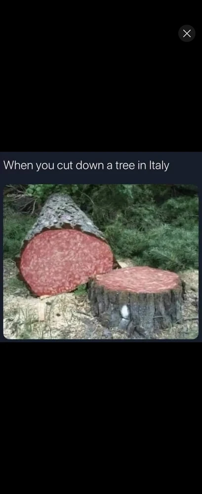 GIF uploaded by *JB* 🇬🇧🇬🇷