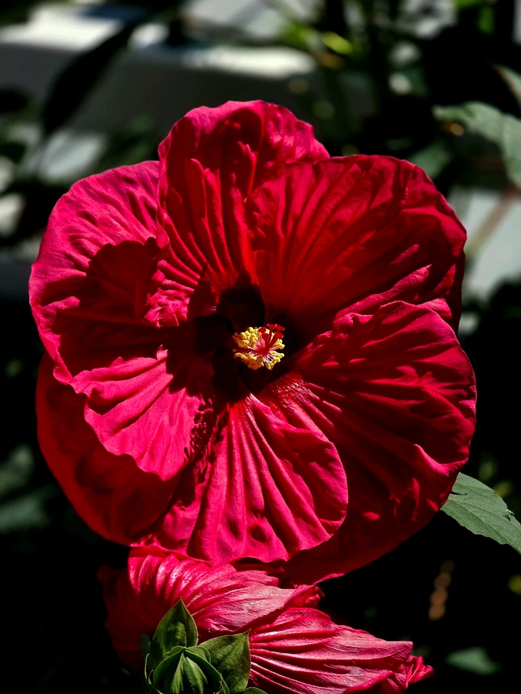 Image uploaded by Noel