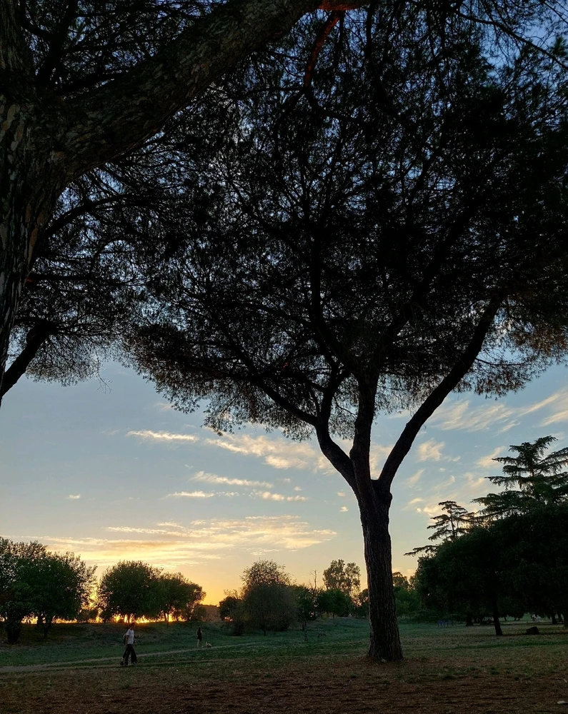 GIF uploaded by Soroosh