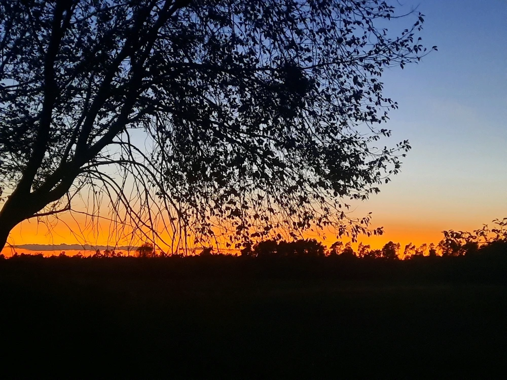 GIF dodany przez Sueñoelespacio