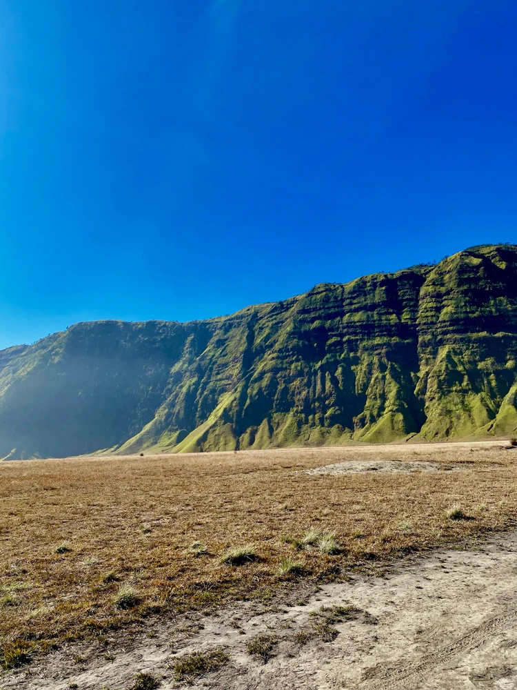 Gambar diunggah oleh LIAN