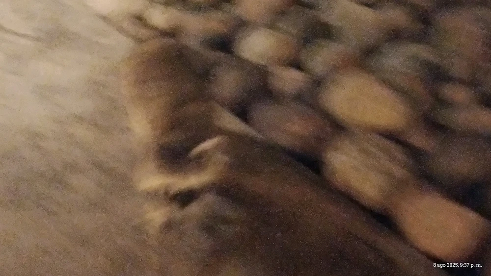 Imagen subida por Ingrid