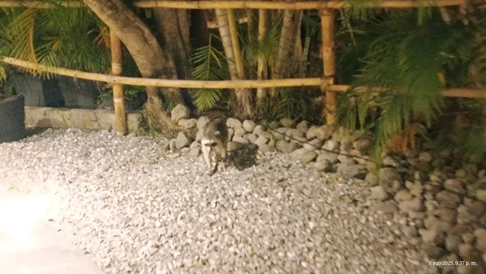 Imagen subida por Ingrid