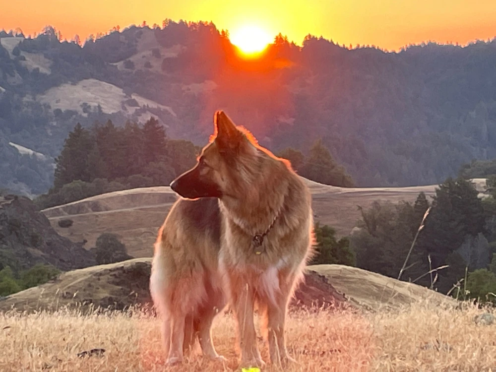 GIF uploaded by Robbie