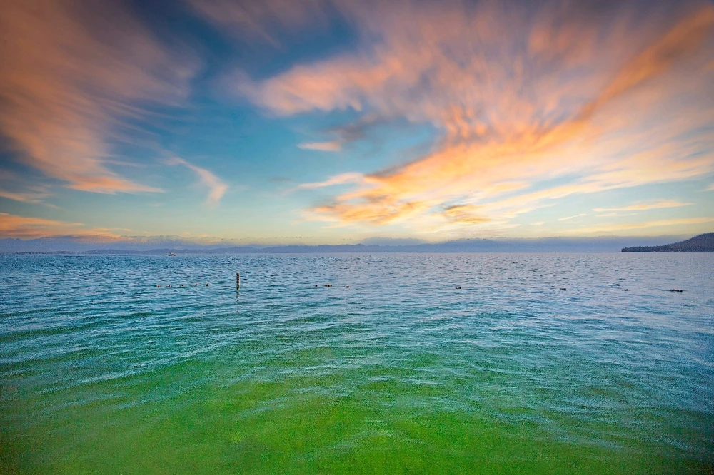 GIF uploaded by Shawn