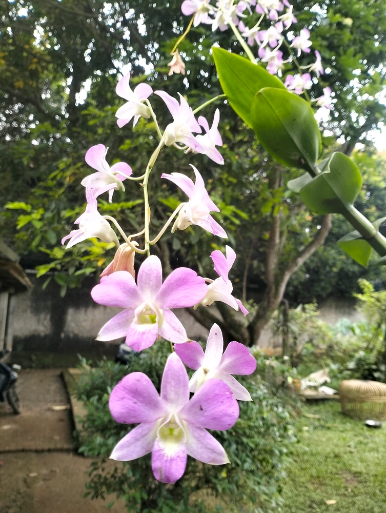 GIF uploaded by Testarosa