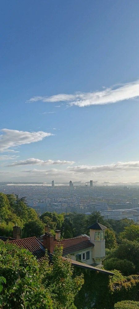 Image ajoutée par Saffiya