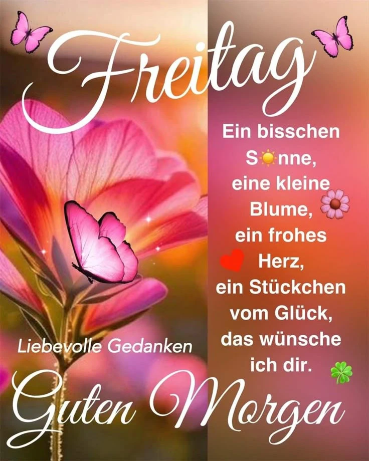 GIF hochgeladen von Jasmin