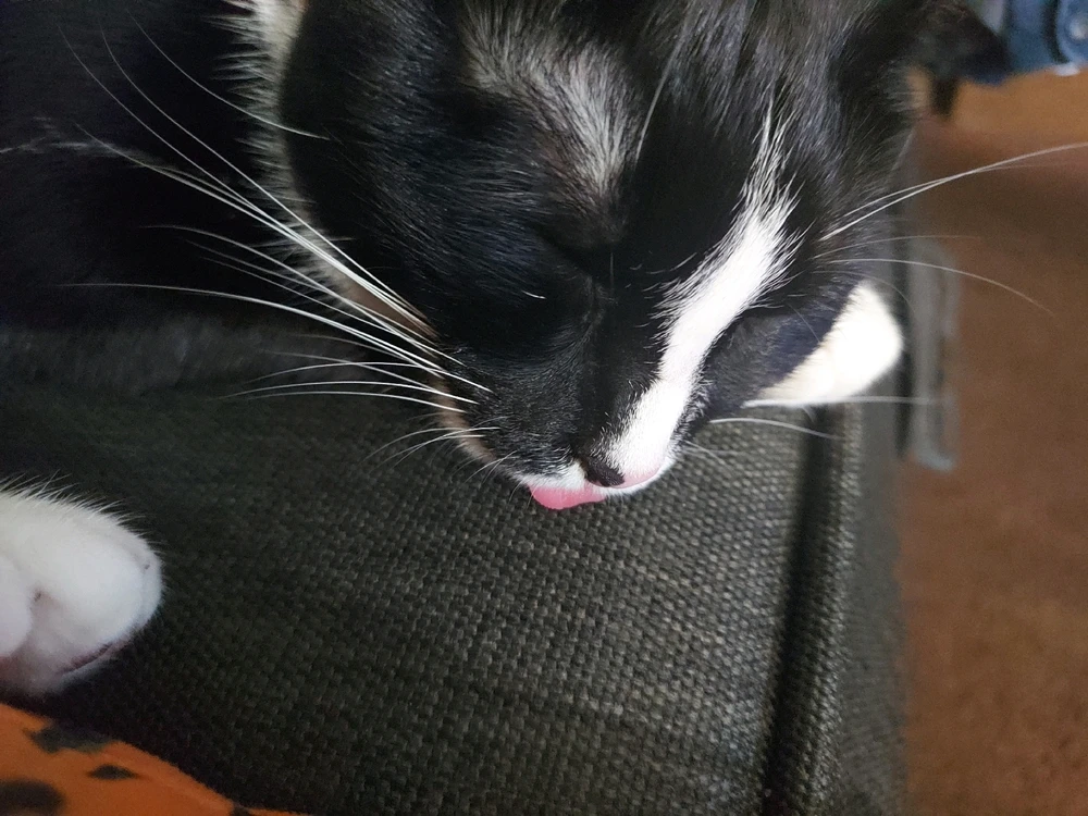 GIF diunggah dening Erika