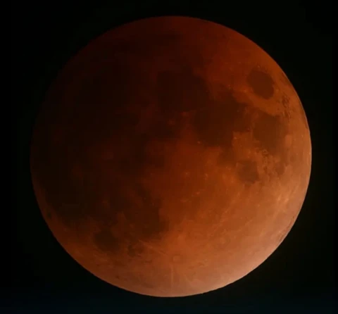 Фото загрузил Роман