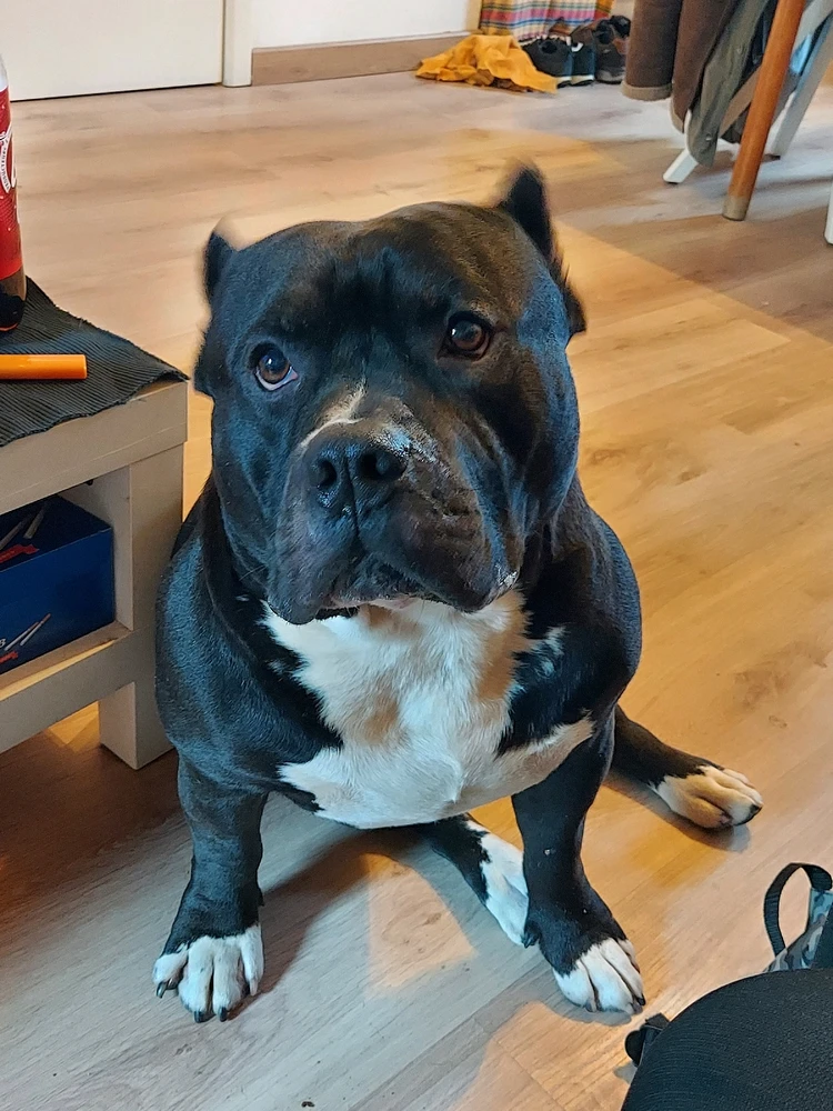 Image ajoutée par Raphaël