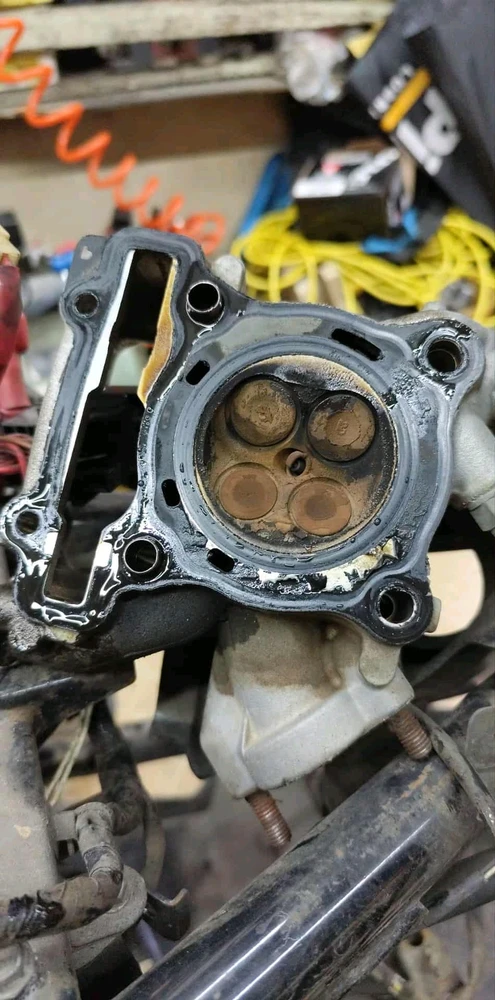 Image uploaded by CariShiela