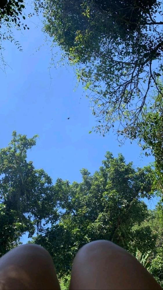 Cami tarafından yüklenen GIF