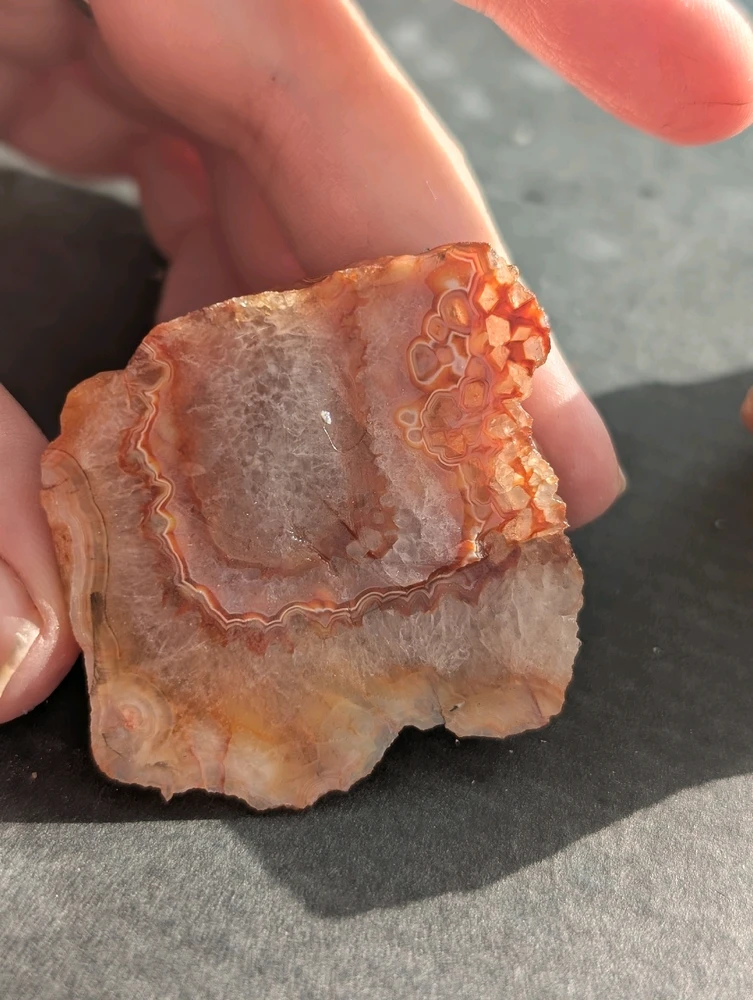 Фото загрузил Инна