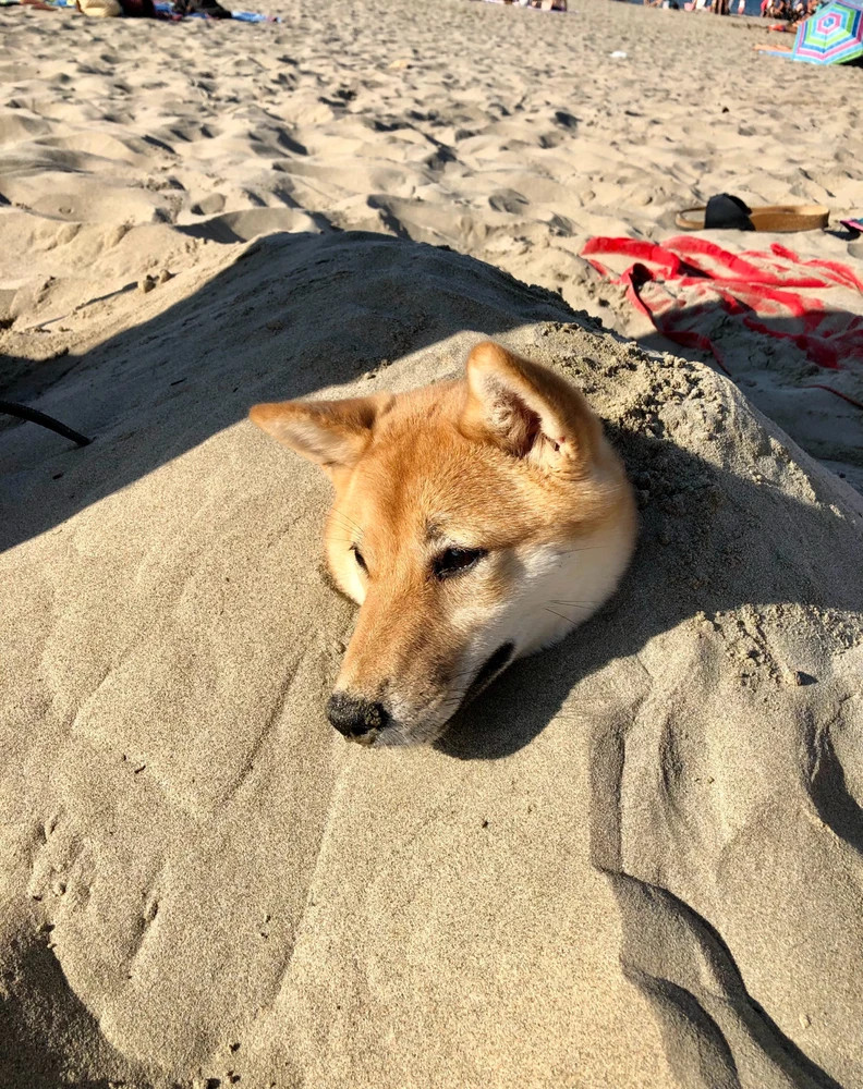 GIF ajouté par GokiBa