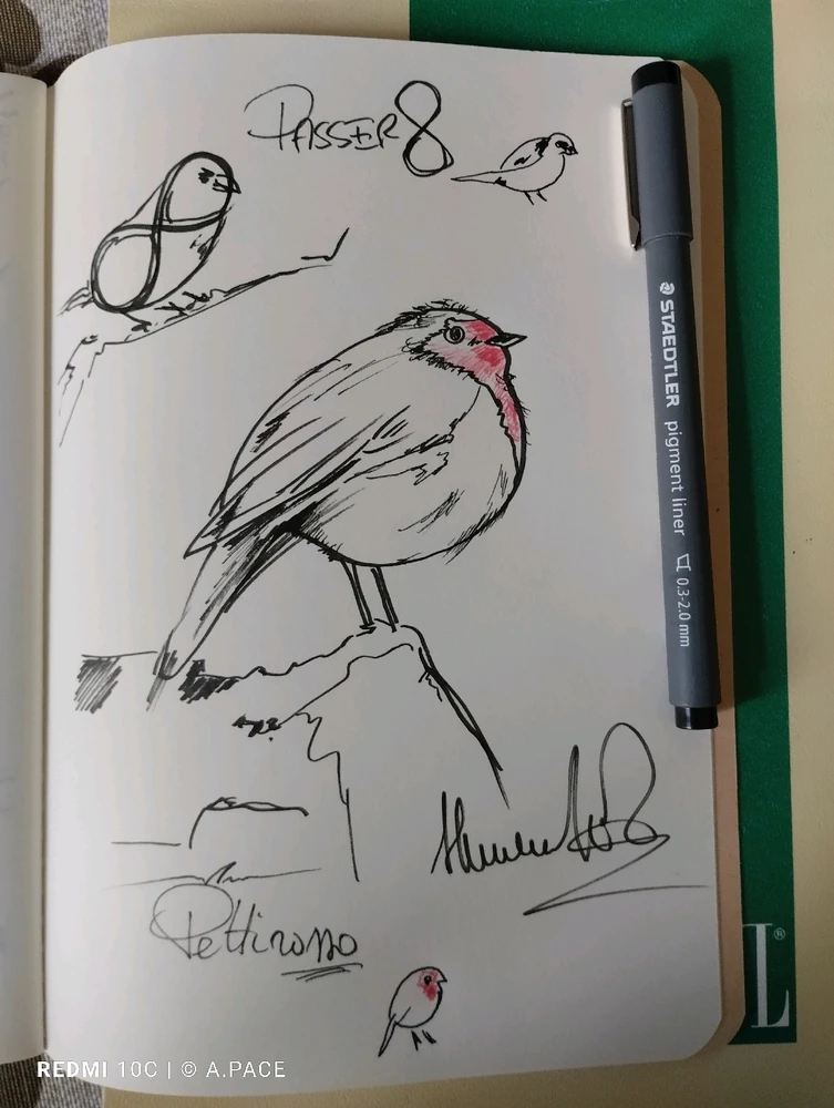 Immagine caricata da Alessandro | alpacigno