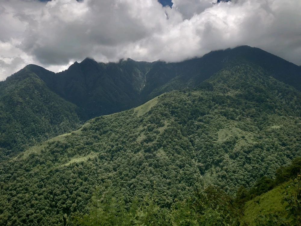 Image uploaded by Kumar Pankaj