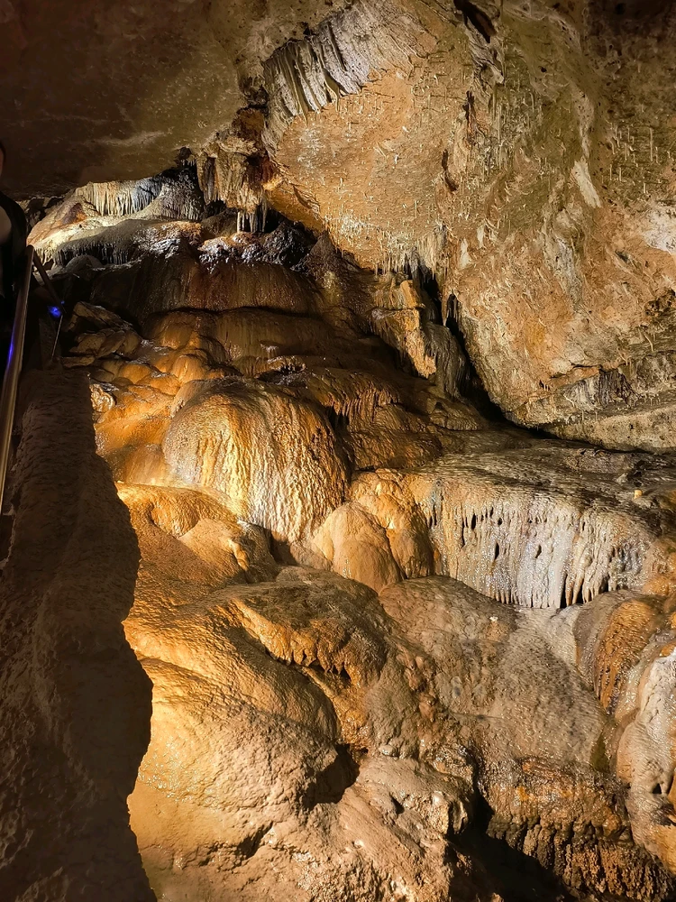 Image uploaded by Desiree