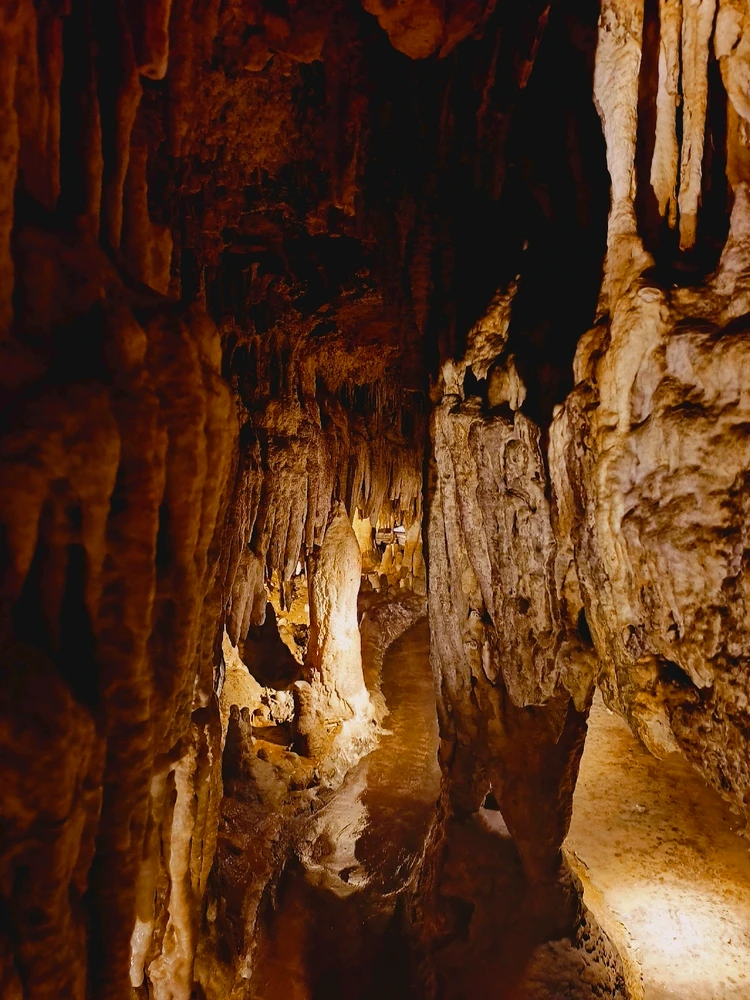 Image uploaded by Desiree