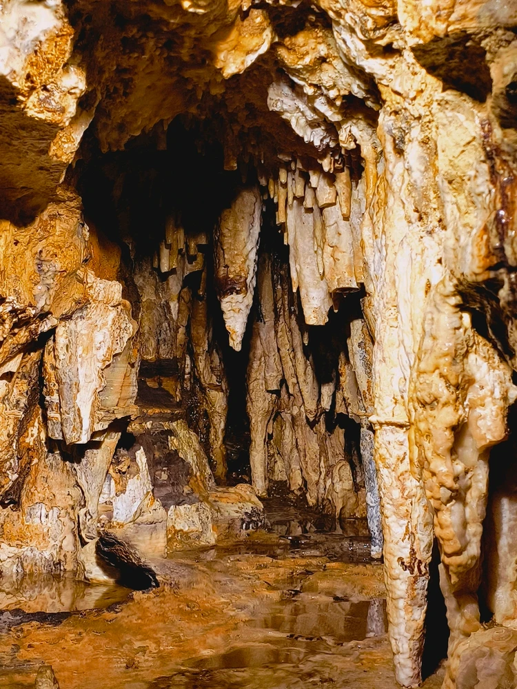 Image uploaded by Desiree