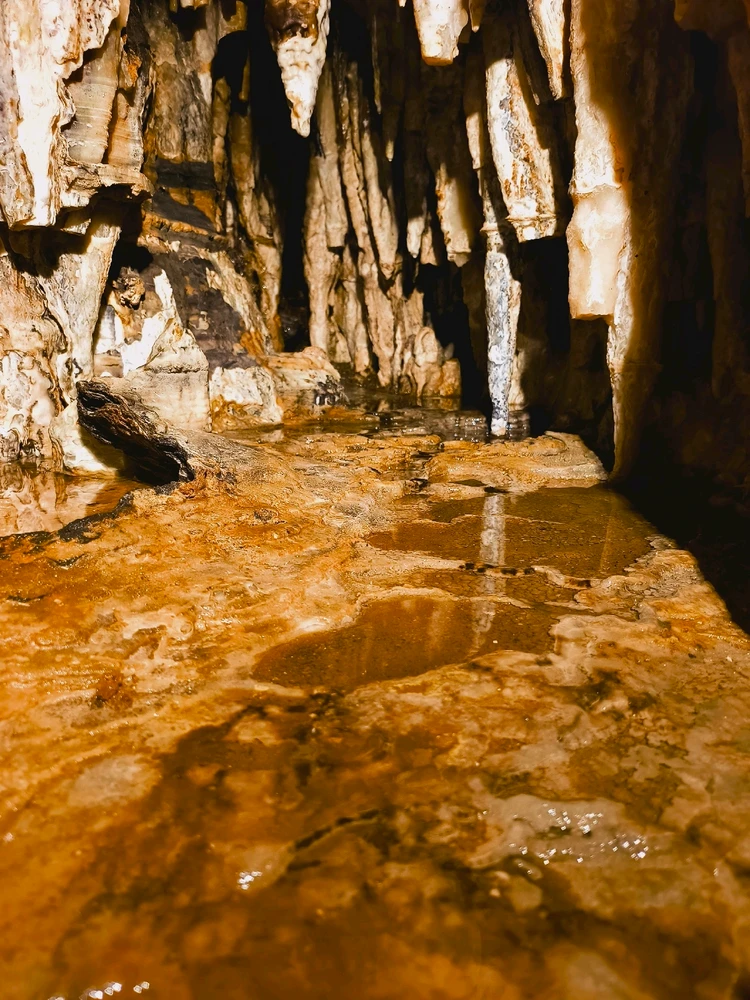 Image uploaded by Desiree