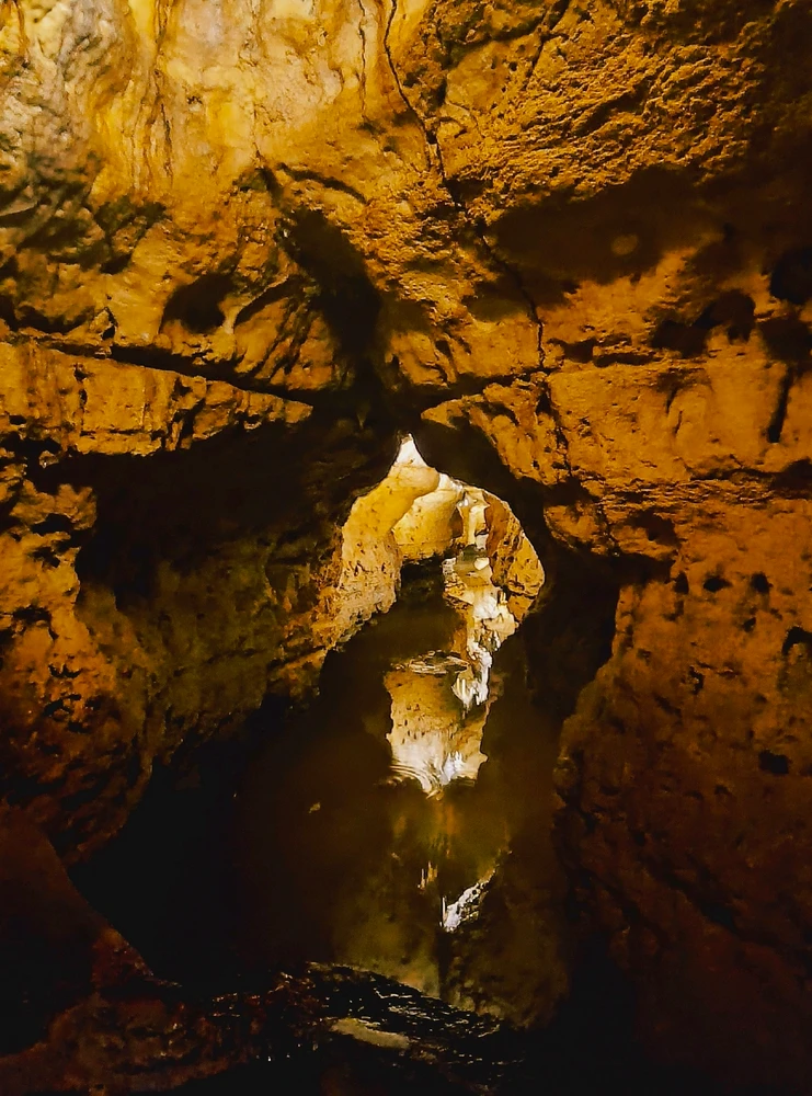 Image uploaded by Desiree