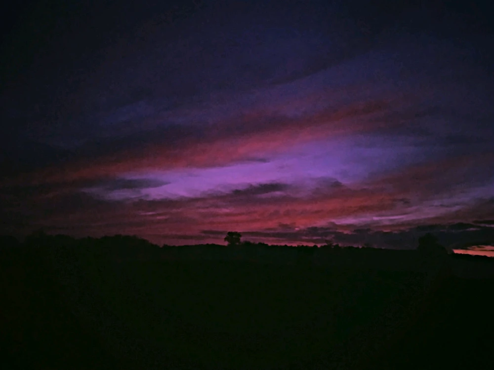 Фото загрузил Эльви