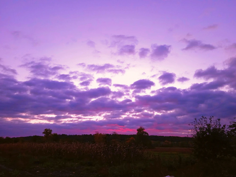 Фото загрузил Эльви