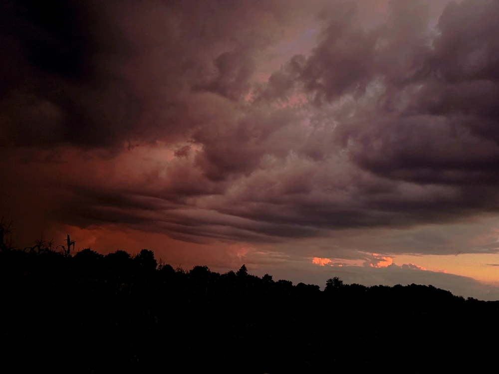 Фото загрузил Эльви