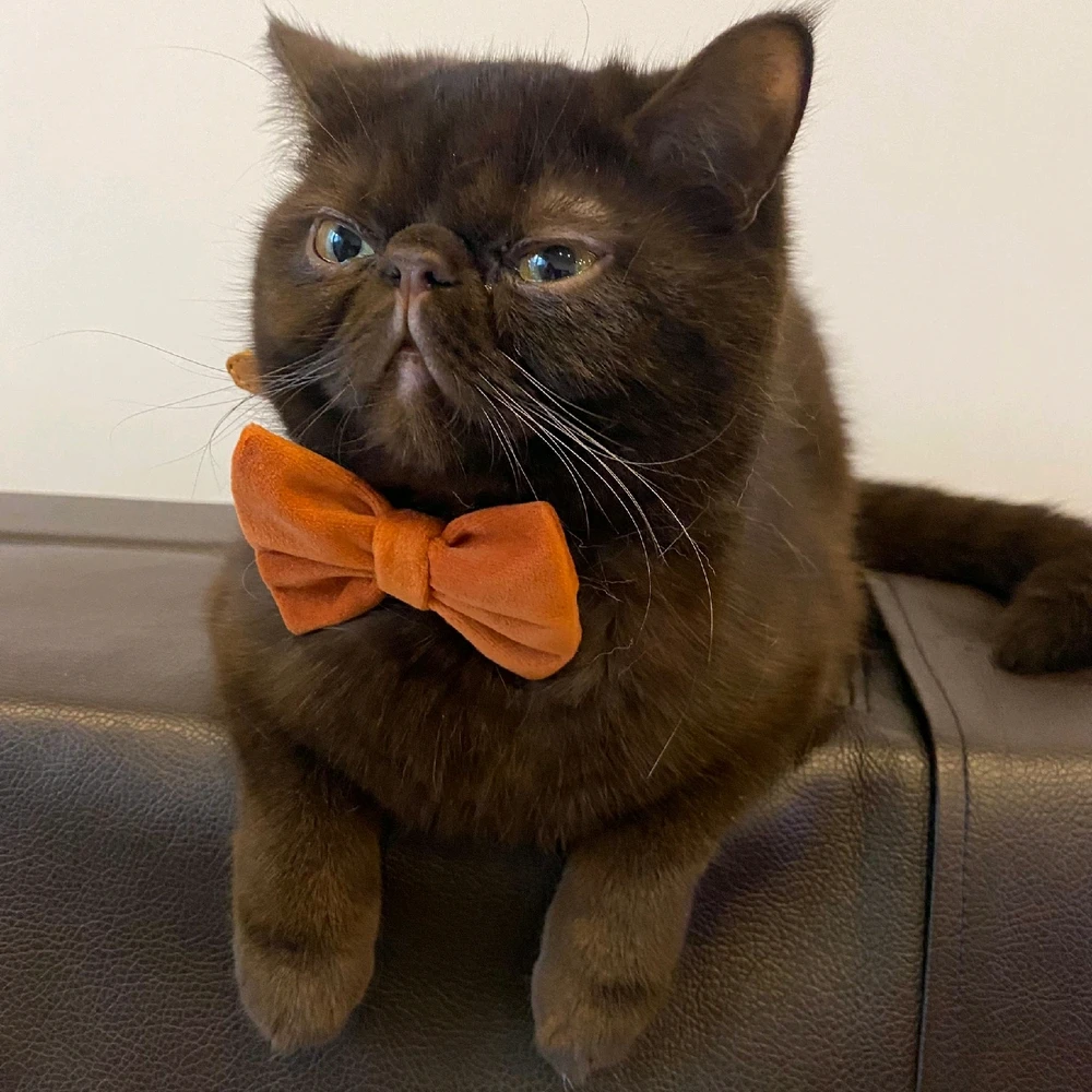 GIF geüpload door Deniz